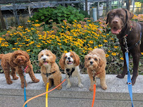 PetPal Care
