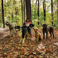 Urban Paws Toronto