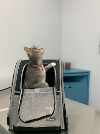 Tulsa Animal Urgent Care
