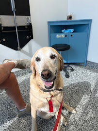 Tulsa Animal Urgent Care