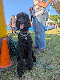 Glad Wags Tulsa