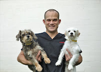 Animal Medical and Surgical Hospital
