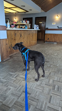 Pawsitive Veterinary Care