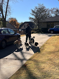 The Woof Pack Tulsa