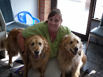 North Yonge Veterinary Hospital