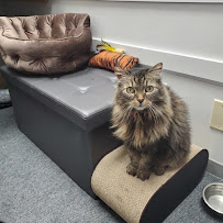 Hart Road Animal Hospital