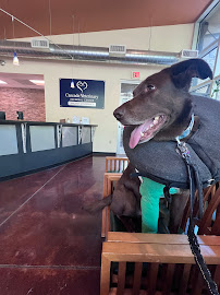 Cascade Veterinary Referral Center