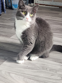 Cedar Mill Veterinary Hospital