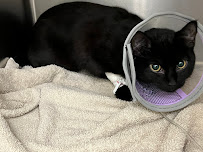 Sorrento Animal Hospital