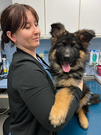 Pacific Veterinary Hospital