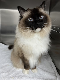 Pacific Veterinary Hospital