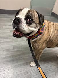 Back To The Bone - Burlington