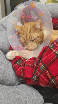 Back To The Bone - Burlington