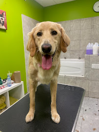 Spencer Creek Animal Hospital