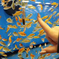 Willamette Veterinary Hospital