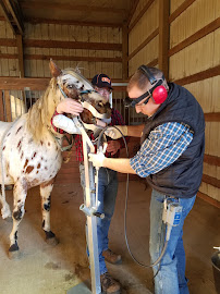 Eastgate Veterinary Clinic