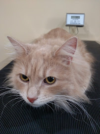 Eastgate Veterinary Clinic