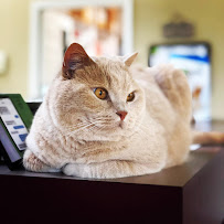 West Hills Animal Hospital