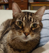 River's Edge Pet Medical Center