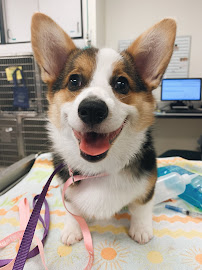 River's Edge Pet Medical Center