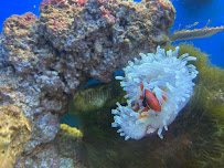 The Ark Veterinary Clinic