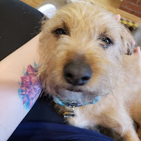 West Eugene Animal Hospital