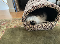 Santa Clara Animal Hospital