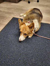 Greenhill Humane Society