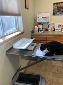 Wildwood Animal Hospital