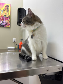 Paws & Claws Pet Medical Center