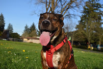 Pacific Northwest Pet ER & Specialty Center