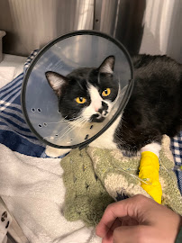 Roseway Veterinary Hospital