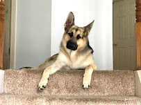 Broadway Veterinary Clinic