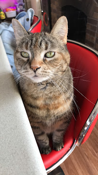 Broadway Veterinary Clinic