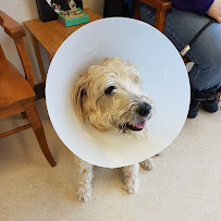 Chicopee Hills Animal Hospital