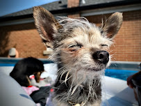 Buck Animal Hospital