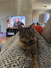 Bridge Street Veterinary Hospital