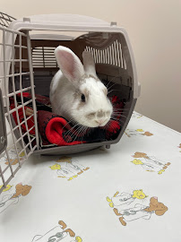 Ilderton Pet Hospital