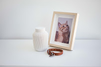 Elgin Animal Hospital