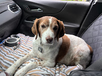 Mount Brydges Animal Clinic