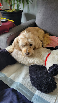 Mount Brydges Animal Clinic