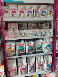 Petshop Indonesia - Harapan Indah (Branch Store)