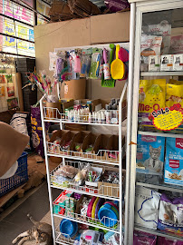 RUMAH PETSHOP SALEMBA JAKARTA