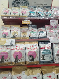 Petshop Indonesia - Cabang Joglo, Jakarta Barat