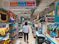 Pet Kingdom Kemang Village