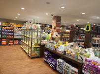 BGM PIK Pet Shop