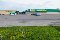 Food Basics