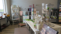 Breslau Commons Pharmacy (Pharmasave)