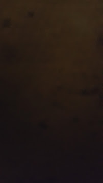 Guardian - Weber Community Pharmacy