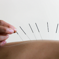 Physio Track